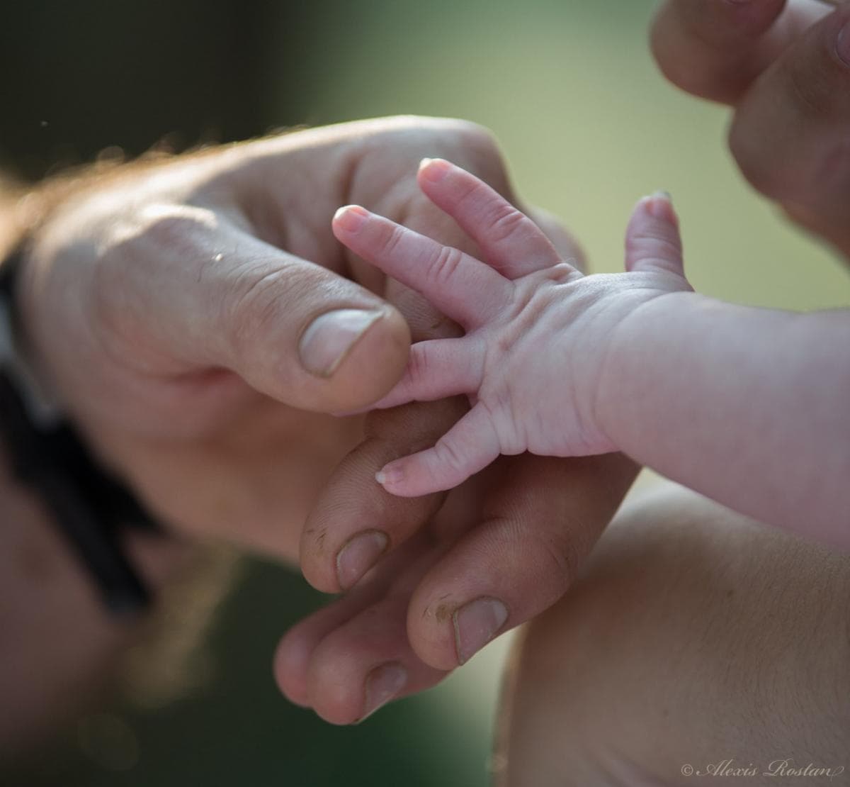 main de bebe Copier
